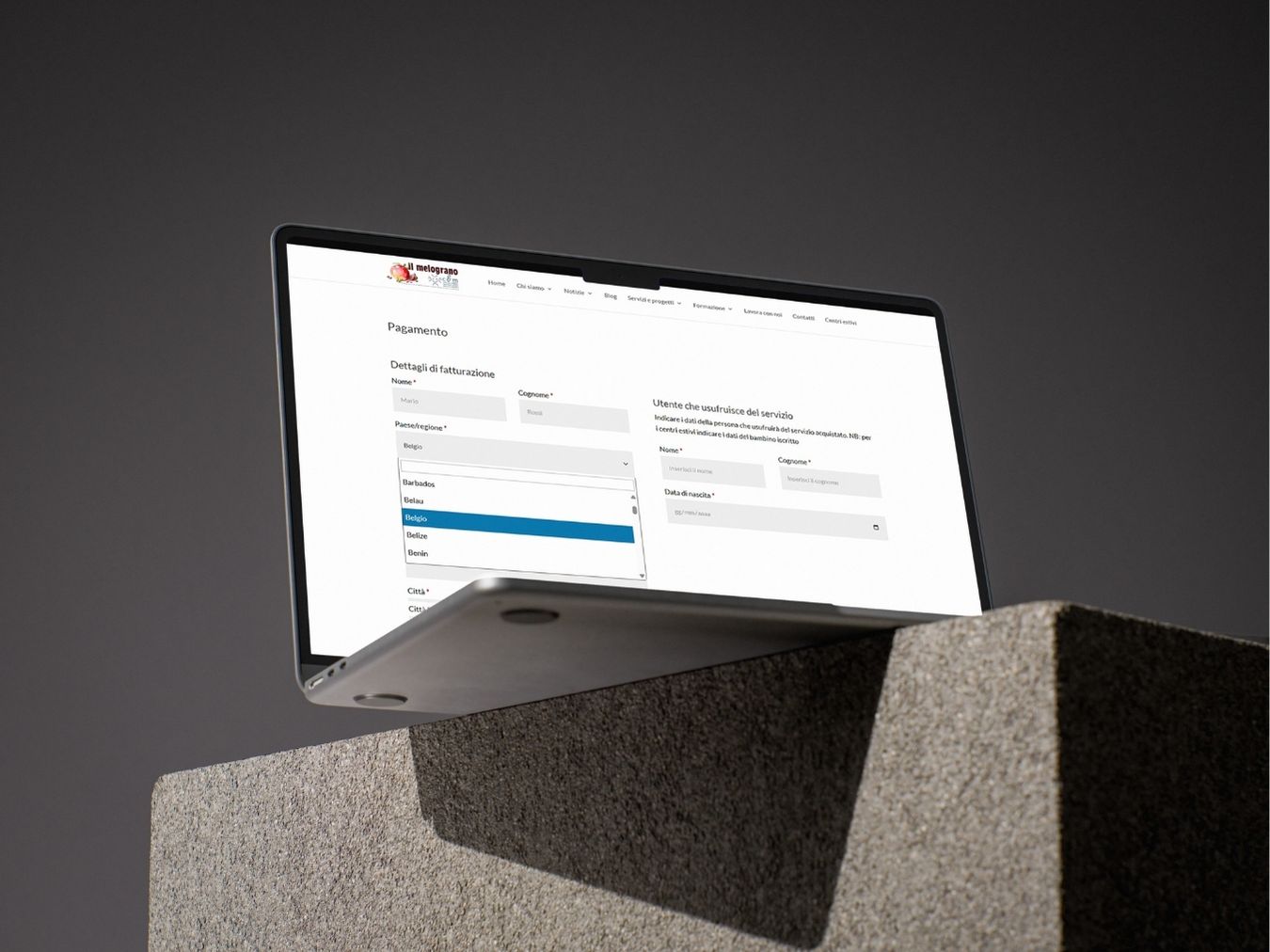 Inserimento dati nel plugin Customizzato